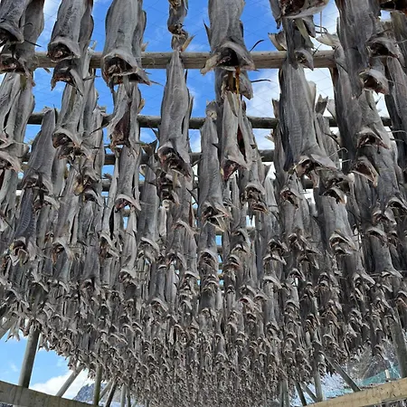 Apartamento Naustplassen Rorbuer