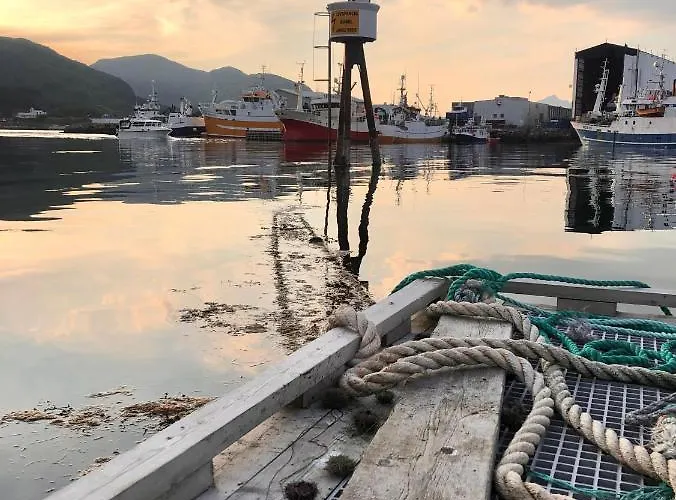 Daire Naustplassen Rorbuer *