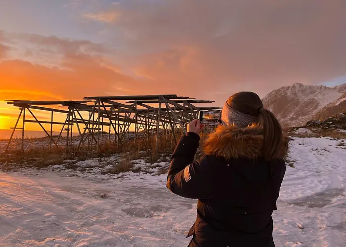 Naustplassen Rorbuer Daire