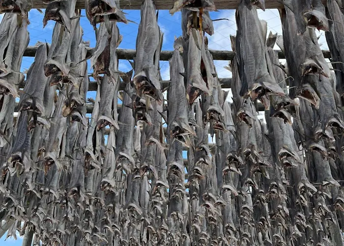 Apartamento Naustplassen Rorbuer