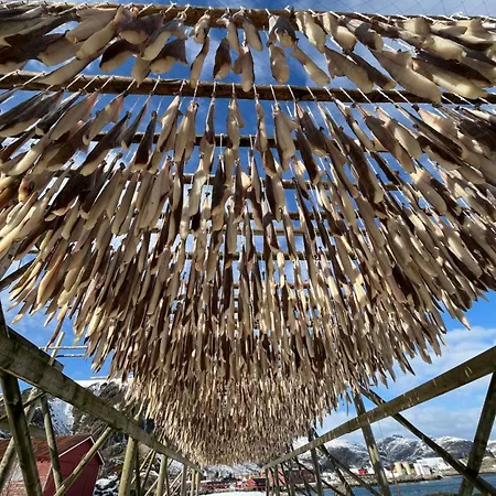 Naustplassen Rorbuer Appartamento