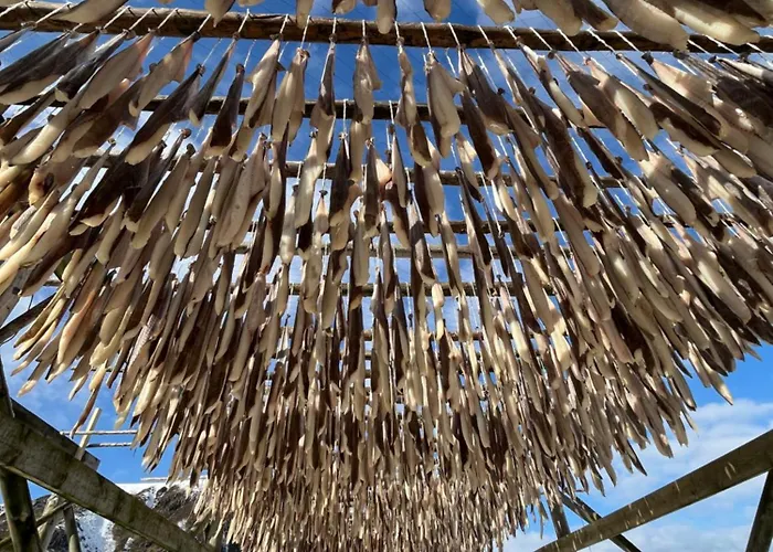 Naustplassen Rorbuer Lägenhet